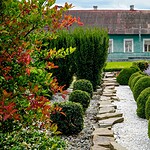 Bodenpflege und Beetgestaltung Tipps von Henry Neuhauser